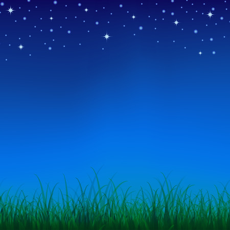 Green grass background under the night skyのイラスト素材
