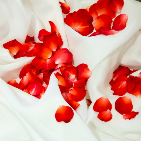 Rose petals on white fabric with backgroundの写真素材