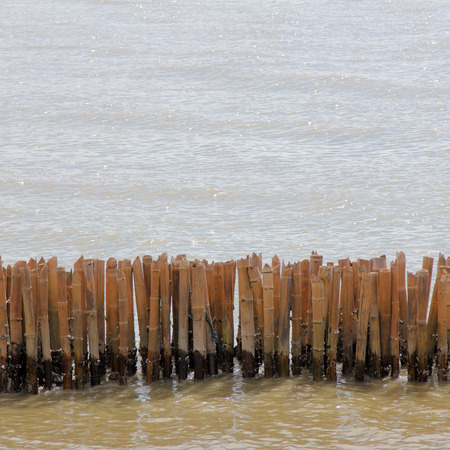 The bamboo block to prevent coastal erosion, waveの写真素材