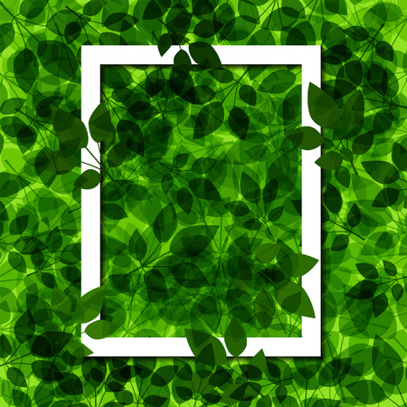 Background green leaf with white frame, Vectorのイラスト素材