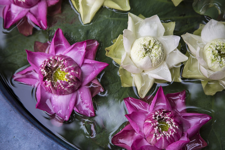 Making decoration lotus flower floating on water