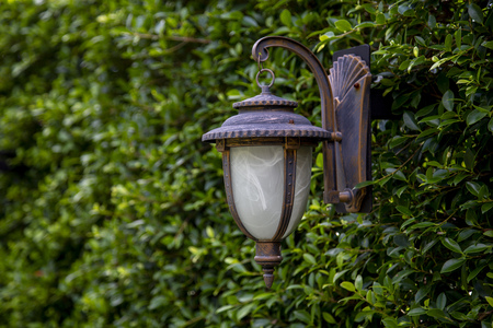 Lamp on leaf wall background in the gardenの写真素材