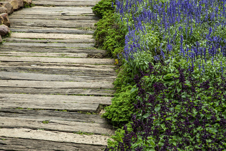 Flower with wood board path in the gardenの写真素材