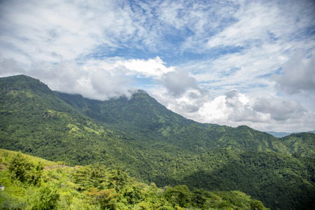 Landscape on mountain with tree and cloudの写真素材