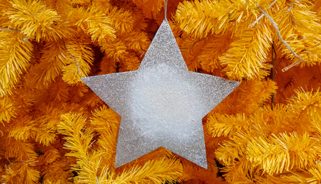 Blank star hanging decoration on Christmas treeの写真素材