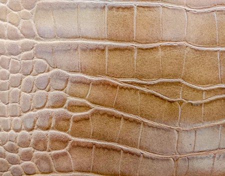 Brown crocodile leather texture with for backgroundの写真素材