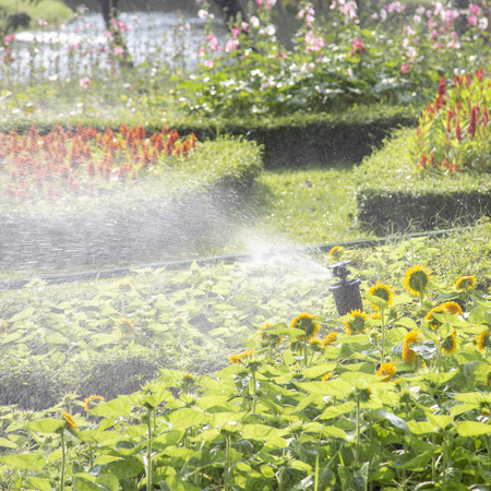 Springer watering in the flower gardenの写真素材