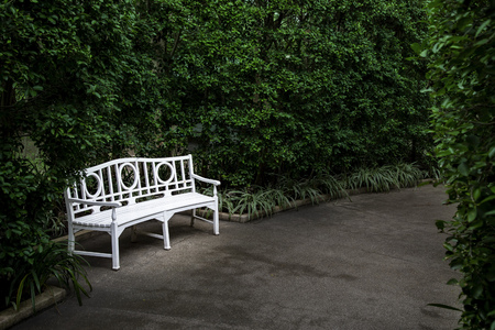 White bench with bush in the gardenの写真素材