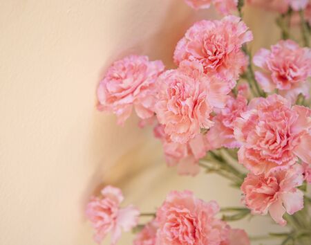 Artificial pink carnations flowers bouquet and wall backgroundの写真素材