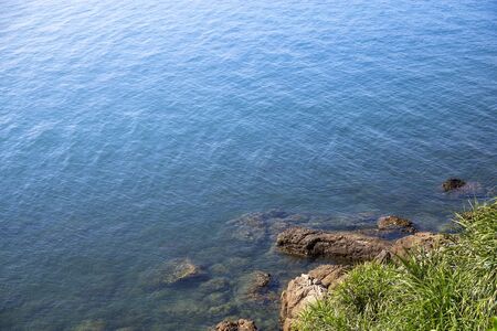 Background of coastal sea with rock and plantの写真素材
