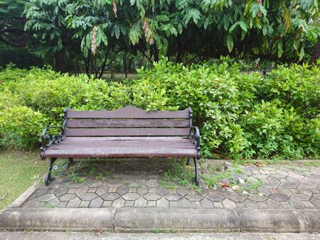 Old wood bench in the parkの写真素材