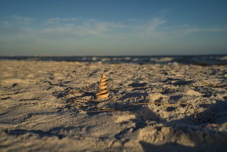 Close-up of a decorative wooden spiral on Sanibel Islandの写真素材