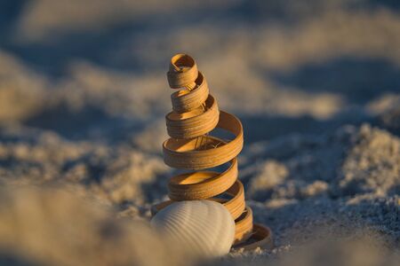 Close-up of a decorative wooden spiral on the beach on Sanibel Islandの写真素材