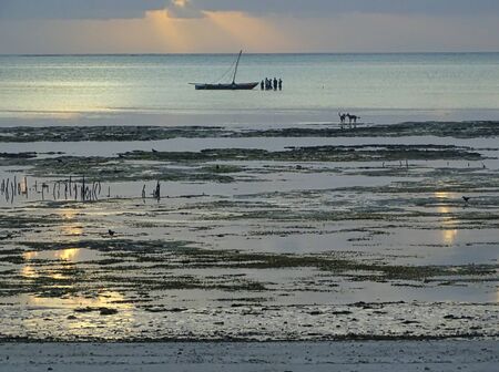 Sunrise, sunset with dream scenery and wanderlust on the lonely beach on Zanzibar, fishing boats and...