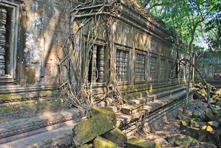 The wall of Beng Mealea temple entwined with branches and tree roots