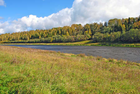 Autumn grass by the river