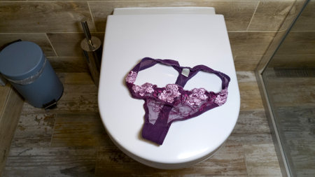Pink lace women's panties with flowers lie on the toilet. Luxurious elegant sexy women's thong lies in the bathroom. fashion underwearの写真素材