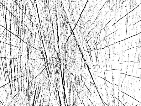 Vector grunge texture of a cross section of a tree with cracks. Monochrome background of an old damaged log. Template for texture overlay, stencil in grunge style. design elementsのイラスト素材