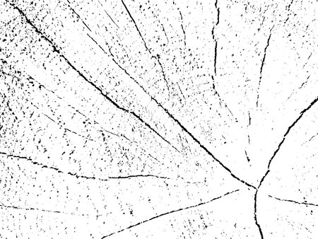 Vector grunge texture of a rowan cross-section. Monochrome background of an old sawn log with cracks. Template for overlay or stencil. A design element that is raw, natural and uniqueのイラスト素材