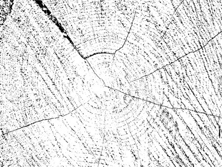 Raw and rustic vector texture of a plum tree cross-section with natural cracks. Monochrome organic background of an old sawn log. Ideal for posters, flyers, and social media graphicsのイラスト素材