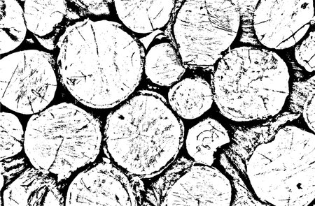 Vector grunge texture of cut trees with cracks, grains, and concentric circles. monochrome background. Perfect for vintage, rustic, and abstract designsのイラスト素材