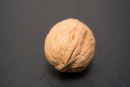 Simplicity and Elegance: A Single Walnut on a Dark Surface, This image features a single, uncracked walnut, its intricate textures beautifully highlighted against a dark greyの写真素材
