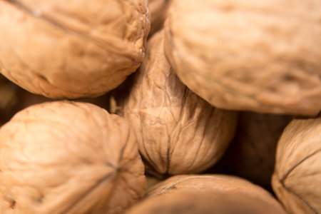 Golden Delight: A Close-Up of Textured Walnuts, This image features a close-up of a group of walnuts, their intricate textures beautifully highlighted. Each walnut, encasedの写真素材