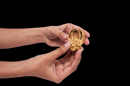 Unveiling Nature's Treasure: Hands Cracking Open a Fresh Walnut, An image capturing the moment a...