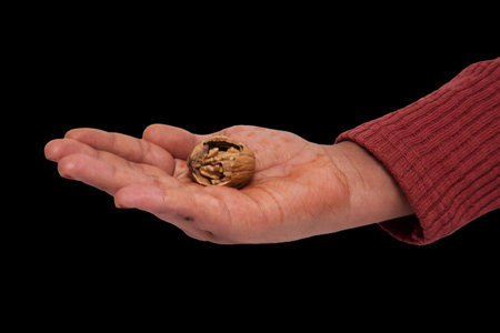 Nature's Delight: Hand Holding a Cracked Walnut Against Dark Backdrop, An image capturing a hand, adorned in a red sleeve, gently holding a cracked walnut. The dark backdrop accentの写真素材