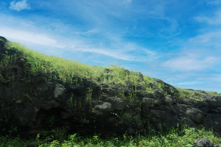This stunning image showcases the tranquil allure of a sunrise illuminating lush hills. The sky is adorned with delicate shades of orange and pink as the sun ascends, enveloping the vibrant green terrain in a warm glow. Various shrubs and trees punctuate the hills, forming a diverse tapestry of foliage. In the foreground, rocky ground interspersed with grass and small plants enhances the scene's texture and depth. This serene landscape inspires feelings of calm and a deep connection to nature, ideal for themes centered around relaxation, natural beauty, and outdoor exploration.の写真素材