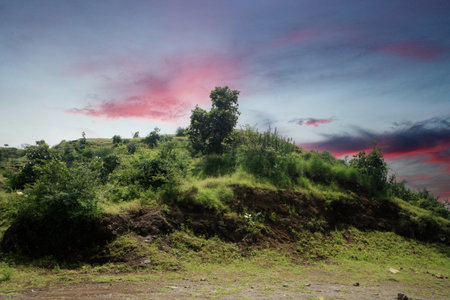 This beautiful image captures the serene essence of a sunrise above lush hills. The sky is filled with subtle shades of orange and pink as the sun rises, casting a warm glow over the vibrant green scenery. The hills are adorned with a variety of shrubs and trees, forming a rich tapestry of plant life. In the foreground, rocky surfaces interspersed with grass and small plants add texture and dimension to the image. This peaceful landscape evokes a sense of calm and a connection to the natural world, making it ideal for themes of relaxation, natural beauty, and outdoor adventures.の写真素材