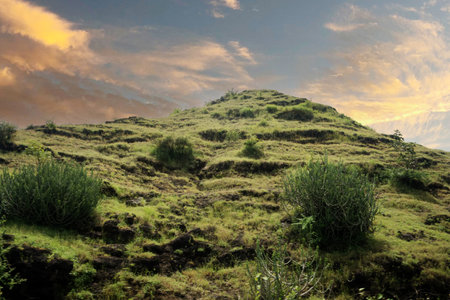 The image illustrates a rugged rock formation blanketed in lush green vegetation. The dark, rough stones contrast beautifully with the vibrant greenery that grows in patches. A variety of plants flourish in the crevices and on top, indicating a rich and diverse ecosystem. Bathed in natural light, the textures and colors of the rocks and plants are accentuated, representing nature's resilience and the harmonious coexistence of rock and plant life.の写真素材