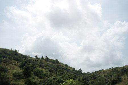 This image showcases a hill formation adorned with vibrant green foliage. The stark, rough terrain stands in contrast to the lively greenery that flourishes in various areas. A variety of plants thrive in the cracks and atop the rocks, suggesting a rich and diverse ecosystem. Illuminated by natural light, the textures and hues of both the rocks and plants are accentuated, symbolizing nature's resilience and the harmonious relationship between rock and plant life.の写真素材
