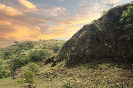 A striking rock face adorned with lush greenery highlights the variety and abundance of the natural landscape. This feature showcases the intricate interplay between geological formations and plant life, illustrating the richness of the environment.の写真素材