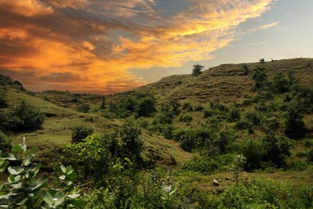 These instances act as a reminder of the beauty inherent in nature, encouraging individuals to take a moment to appreciate the visual artistry that presents itself. The tranquil atmosphere fosters a more profound relationship with the environment surrounding us.の写真素材