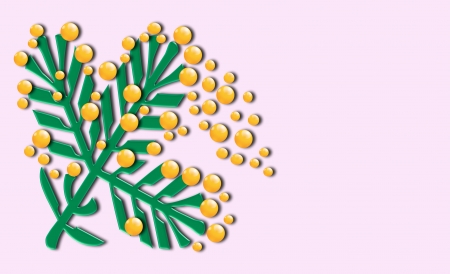 	Branch of mimosa over pink. のイラスト素材