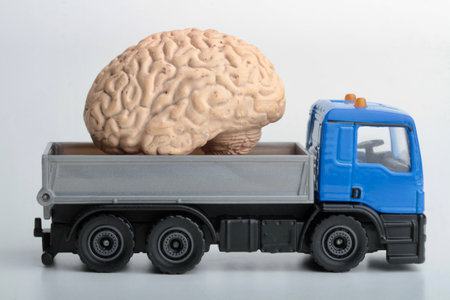 Model of a human brain and a truck on a white background.