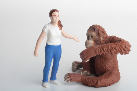 Gorilla and the girl in the studio on a white backgroundの写真素材