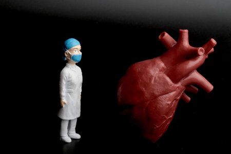Doctor and human heart model on a black background. Medical concept.の写真素材