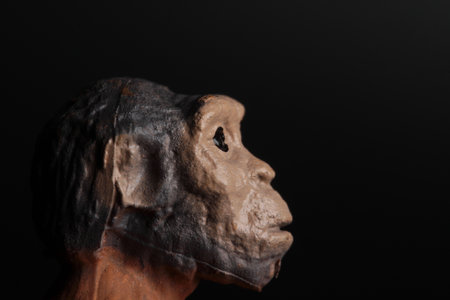 Wooden sculpture of a prehistoric man on a black background, close-up
