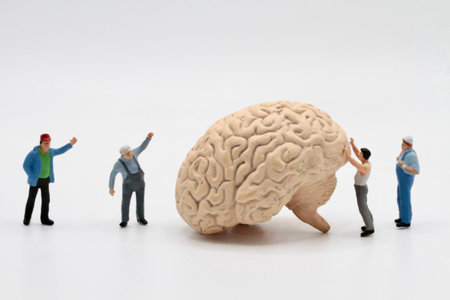 miniature people with brain model on white background, thinking and brainstorming conceptの写真素材