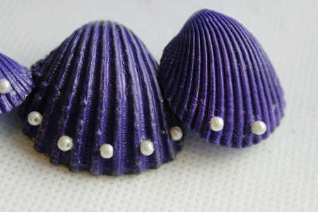 Shellの素材