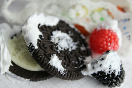 biscuit with fruitの素材