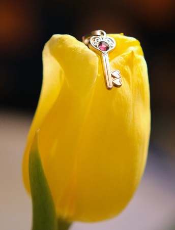 Key tulipの素材