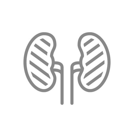 Sore human kidneys line icon. Renal cysts, kidney stones, ureteral stone symbolのイラスト素材