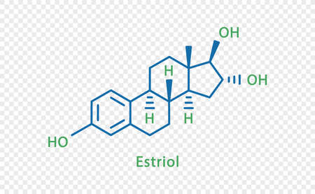Estriol chemical formula. Estriol structural chemical formula isolated on transparent background.のイラスト素材