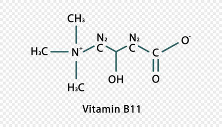 Vitamin B11 chemical formula. Vitamin B11 structural chemical formula isolated on transparent background.のイラスト素材