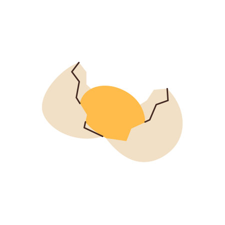 Broken egg. Organic farm chicken eggs. Vector illustration.のイラスト素材