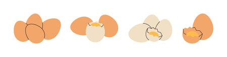 Set of raw eggs. Fresh and boiled eggs. Vector illustration.のイラスト素材