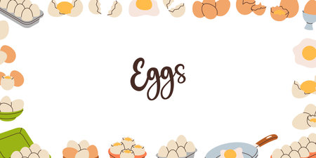 Chicken eggs in horizontal banner. Farming and agricultural. Raw and boiled eggs, broken and whole eggshells, protein and yolk. Vector illustration.のイラスト素材